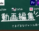 YouTubeなどの動画編集します AIをつかってＰＲ動画なども可能です！ イメージ1