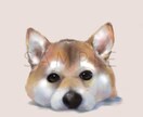 ＳＮＳアイコンや個人使用でのグッズに向いています ほんわかな雰囲気の動物(ペット)をカラーイラストで♪ イメージ4
