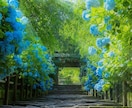 彼の気持ちや本音…魂から読み解いていきます 新規様への～10/31まで期間限定【¥3000→¥1000】 イメージ8