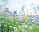 心のデトックスしませんか？お話し聞きます 愛と癒しのヒーリングで心の隙間も埋めておきます( ˊᵕˋ ) イメージ7