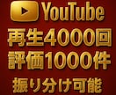 YouTubeの再生回数【4000回】増やします ☆再生回数+4000回と評価+1000件が3,000円☆ イメージ7