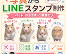 ペットやご家族の写真からLINEスタンプを作ります お気に入りの写真を切り抜いて、かわいいオリジナルスタンプに♡ イメージ1