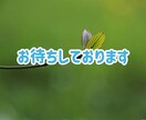 一人で抱え込まないで✧あなたの味方になります 仕事❀悩み❀愚痴❀相談❀孤独❀恋愛❀家族など イメージ10