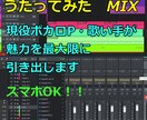 丁寧に歌ってみたMIX行います スマホOK。ひとりひとりのお客様を大切にします！ イメージ1