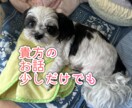 貴方のお話を誠心誠意聞きます 貴方に寄り添った会話と楽な場所を提供出来るようにします イメージ1