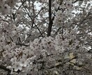 不安について優しくお話します 不安、皆ありますよね、一緒に不安をゆっくり整理しましょう イメージ2