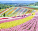 一緒に(お花の)プレゼント内容考えます お花をプレゼントしたいけど、どうしたらいいのか分からない方へ イメージ7