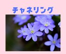 1名様限定☆1ヶ月ハッピーに生きるヒント届けます はじめましての方へ霊聴・霊視透視✨お勧め1位獲得者が鑑定 イメージ1