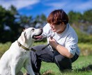 その子に合うトレーニング方法をご提案します 愛犬との最高のパートナーを目指して！ イメージ1