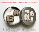 鉱物イラストで缶ケースをデザインします あなただけの鉱物イラスト雑貨を作ってみませんか？ イメージ4