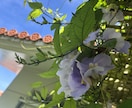 今のお気持ちに寄り添います 少しでもあなたの心が軽やかになりますように♡ イメージ2