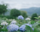 写真に手書き文字を入れます 思い出の写真に、ことばを添えて イメージ8