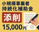 小規模事業者持続化補助金の申請書を添削します 提出予定の申請書をブラッシュアップしませんか？ イメージ1