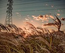 都内や都内近郊で素敵な写真の撮影代行いたします あなただけのための撮影します！ イメージ6