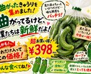 訳ありB品野菜・果物の売れる販促POPを制作します 見た目じゃない！美味しさを伝える訳ありB品POP制作 イメージ3