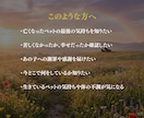 ペットの気持ち・虹橋霊視鑑定｜神言でお届けします 亡きペットの想いを、神言で視てお届けします イメージ4