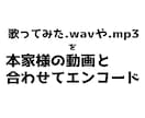 歌ってみたのエンコードします 即日納品！各動画サイトに最適化したエンコード！ イメージ2