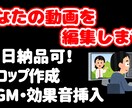 動画制作！カット・テロップ入れして編集します AdobePremire2020使用！ イメージ1
