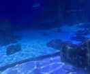 チャネリングで１つのことを掘ってみていきます 滞りをスムーズにするだけで、人生がグッと楽になります。 イメージ1