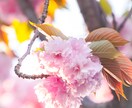 人間関係で悩むあなたの相談のります なかなか人に言えない悩みのあるあなたのご相談に乗ります イメージ3
