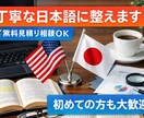 丁寧な日本語で、 さまざまな文章を整えます 。内容を大切にし、読みやすく自然な文章に整えます。 イメージ1