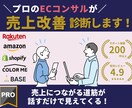 ECサイトの売上改善診断!分析改善プラン提案します ネットショップ集客アドバイス・コンサルAmazon/楽天市場 イメージ1