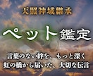 言葉のない絆を心の声で分かりやすくつなぎます 言葉を超えた深い愛とあの子が今一番伝えたい願いを読み解きます イメージ1