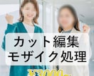 動画のカット編集、モザイク処理をします 素早く納品！シンプルな料金体系！ イメージ1