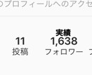 インスタグラムを運用代行致します あなたのアカウントをこちで1ヶ月間運用代行致します！ イメージ2