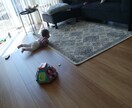 新米パパのお悩み相談承ります 悩める新米パパの子育てに関すること、家族について話聴きます！ イメージ1