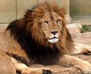 究極！苦しみから開放される驚愕手法教えます 本気度が無い方は購入しないでください スマホ完結で副業強者へ イメージ1