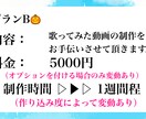簡単な動画制作のお手伝いを致します 一枚絵の歌詞入れ動画や、簡単な文字エフェクトだけの動画編集。 イメージ3