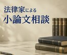 法律家が、小論文の指導・アドバイス致します 弁護士・社会保険労務士にも文章指導をしていました。 イメージ1