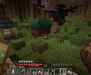 マイクラを一緒にプレイします！手伝いもします 建築が得意です！アイテム集めや整地も大好きです！ イメージ4