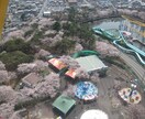 群馬県の事、群馬に【移住希望】の方の質問承ります 群馬県のこと、群馬人のこと何でも質問してください。 イメージ1