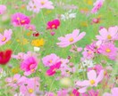 外出の少ない高齢者様 ！とことんお話し聴きます 現役介護士、私が優しく親身に寄り添います イメージ6