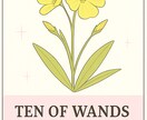 7枚のカードであなたを見つめるリーディング占います ＊野の花で占う自分占い＊オリジナル野の花タロットリーディング イメージ7