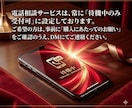 Googleアドセンス審査の電話相談にお答えします ブログやWEBサイトでアドセンス広告を始めたい方必見 イメージ2