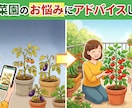 家庭菜園の病気や育成不良を写真でアドバイスします 写真と状況から原因・対策を解説 イメージ1