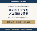楽天ショップの改善点を現役店長が診断します 現役の楽天店舗運営者が検索・ページ・導線をチェック イメージ1