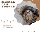 あなたの大事なにゃんこの気持ちを占います 猫の気持ちを知りたいあなたのための「にゃんこ鑑定」 イメージ3