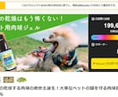クラウドファンディング制作丸ごとお手伝います Plan SをCampfire公式パートナー取得記念価格で！ イメージ7