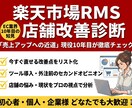 楽天RMS運用の改善点を診断・整理します 楽天市場の運用・業務改善を実務視点で分析 イメージ1