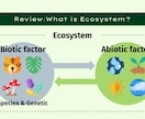 生物学の基礎を分かりやすく教えます 生物が好きな子供，受験生,もう一度勉強したい大人の方へ イメージ2