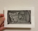 鉛筆画であなたのペットをリアルに描きます 大切なペットの思い出の瞬間をポストカードにしませんか？ イメージ5