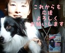 ペットコンサル(お悩みでも愚痴も…お聞き致し)ます ペットの行動・個性に合った方法で、豊かなくらしを…。 イメージ8