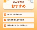 ECサイトの商品紹介文を読みやすく作成します 投稿にそのまま使える文章を作成 イメージ3