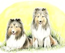 愛犬のイラストオーダー＊似顔絵描きます 原画データ無料お渡し・原画発送料無料 イメージ9