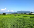 移住のあれこれお答えします 渋谷から山梨へ！住まいも職も変えた移住体験をもとにアドバイス イメージ1