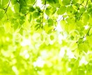 あなたの悩みを受け止めます 些細なことでもOK。どんな悩みでも、吐き出して。 イメージ1
